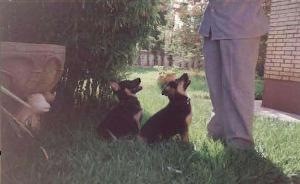 c8d1668fad6087f5ffff8313ffff8709