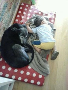 f3cfedd66689b1c9ffff800affff8709